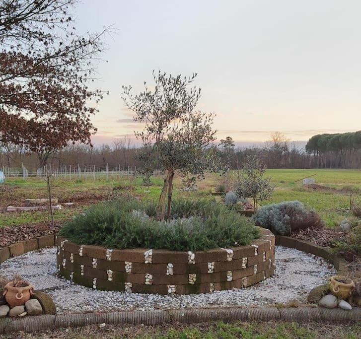 Villa Donnola: Casa Rosmarino Fucecchio Bagian luar foto